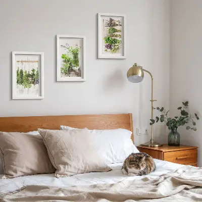 Photo frame wall for drying herbs and plants in the kitchen
