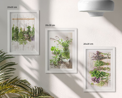 Photo frame wall Drying herbs and plants for the kitchen