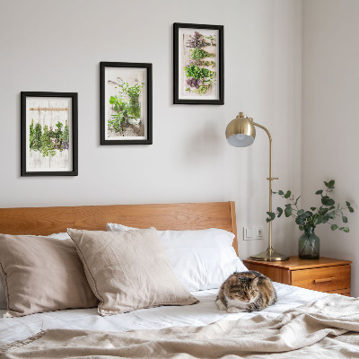Photo frame wall Drying herbs and plants for the kitchen