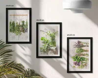 Photo frame wall for drying herbs and plants in the kitchen