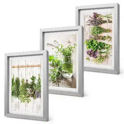 Photo frame wall for drying herbs and plants in the kitchen