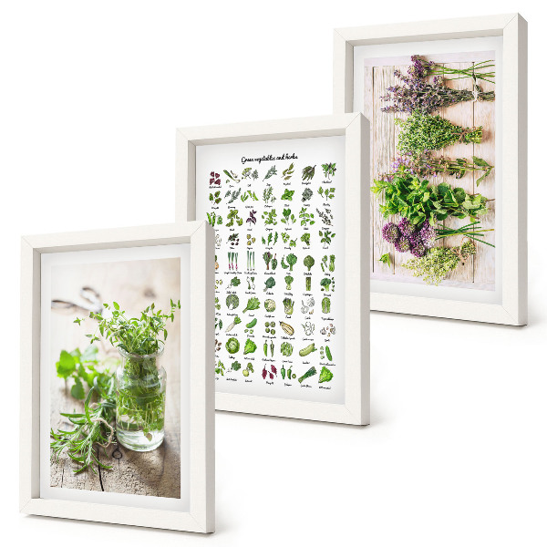 Framed triptych Dried plants for the kitchen herb list