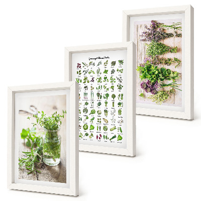 Framed triptych Dried plants for the kitchen herb list