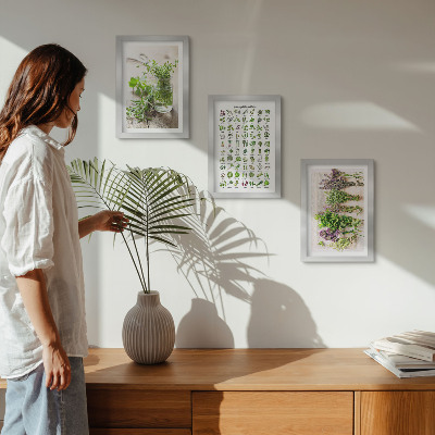 Framed triptych Dried plants for the kitchen herb list