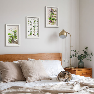 Framed triptych Dried plants for the kitchen herb list