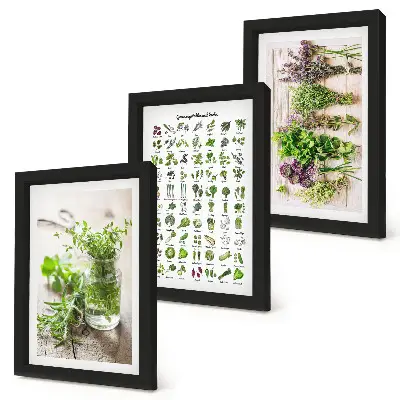 Dried plants framed triptych herb list for the kitchen
