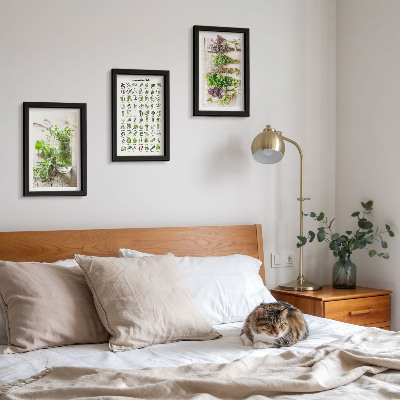 Framed triptych Dried plants for the kitchen herb list