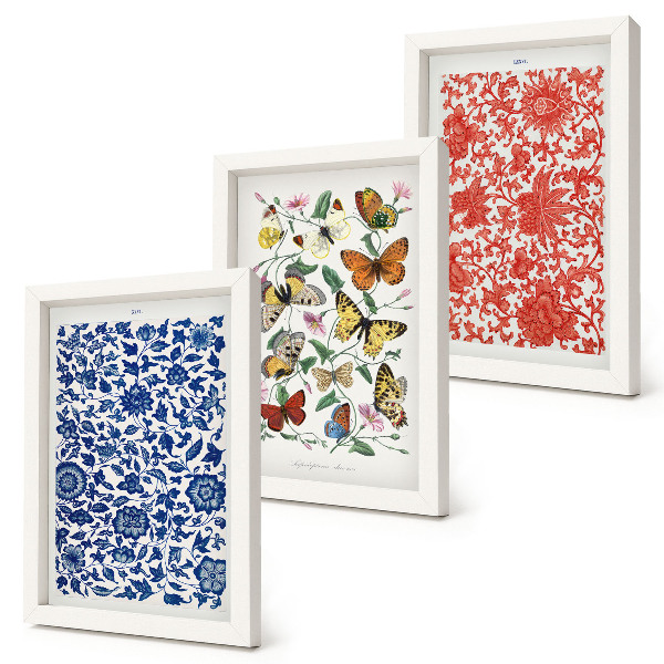 Photo frame wall Vintage flowers butterflies and ornaments posters