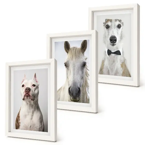 3-piece wall art set with elegant portraits of dogs and horses