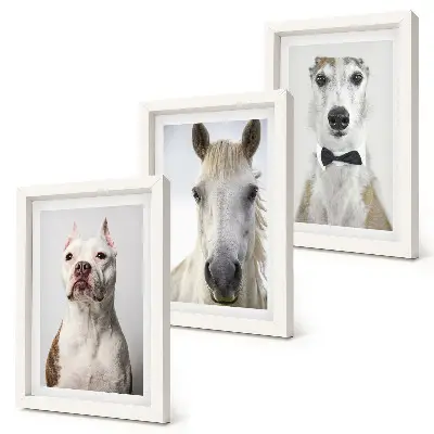 3-piece wall art set with elegant portraits of dogs and horses