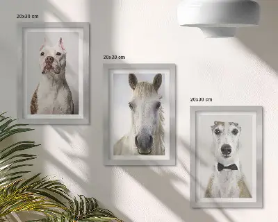 3-piece wall art set with elegant portraits of dogs and horses