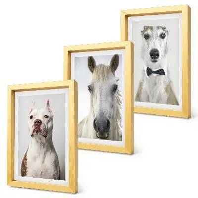 3-piece wall art set with elegant portraits of dogs and horses