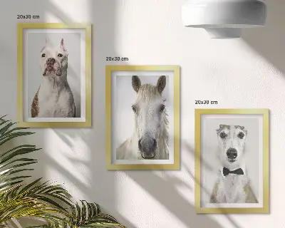 3-piece wall art set with elegant portraits of dogs and horses
