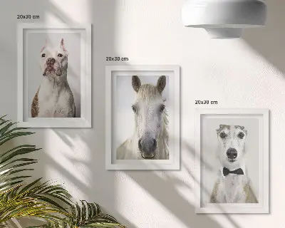 3-piece wall art set with elegant portraits of dogs and horses