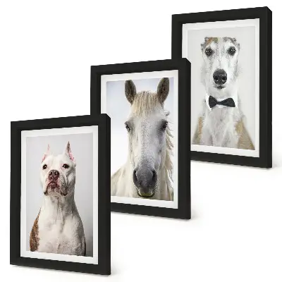 3-piece wall art set with elegant portraits of dogs and horses