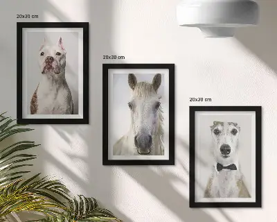 3-piece wall art set with elegant portraits of dogs and horses