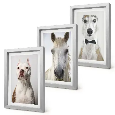 3-piece wall art set with elegant portraits of dogs and horses