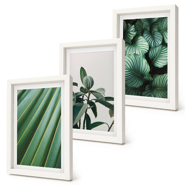 3-piece wall art set Aesthetic tropical leaves in various shades of green