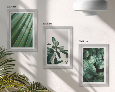 3-piece wall art set Aesthetic tropical leaves in various shades of green