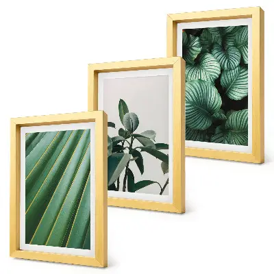 3-Piece tropical leaf wall art set aesthetic design in various shades of green