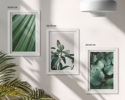 3-piece wall art set Aesthetic tropical leaves in various shades of green