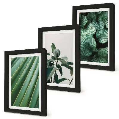 3-Piece tropical leaf wall art set aesthetic design in various shades of green