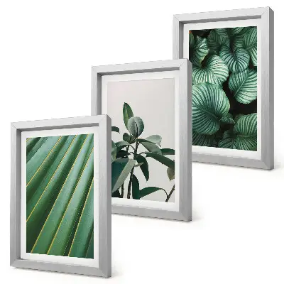 3-Piece tropical leaf wall art set aesthetic design in various shades of green