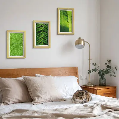 Photo frame wall with close-ups of tropical leaves