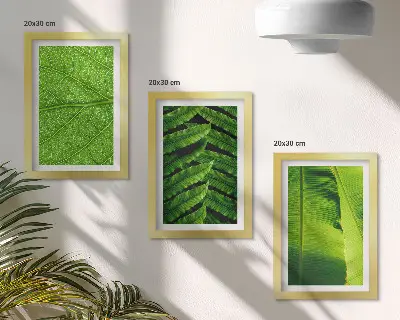 Photo frame wall with close-ups of tropical leaves