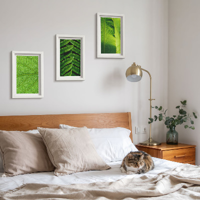 Photo frame wall Close-ups of tropical leaves