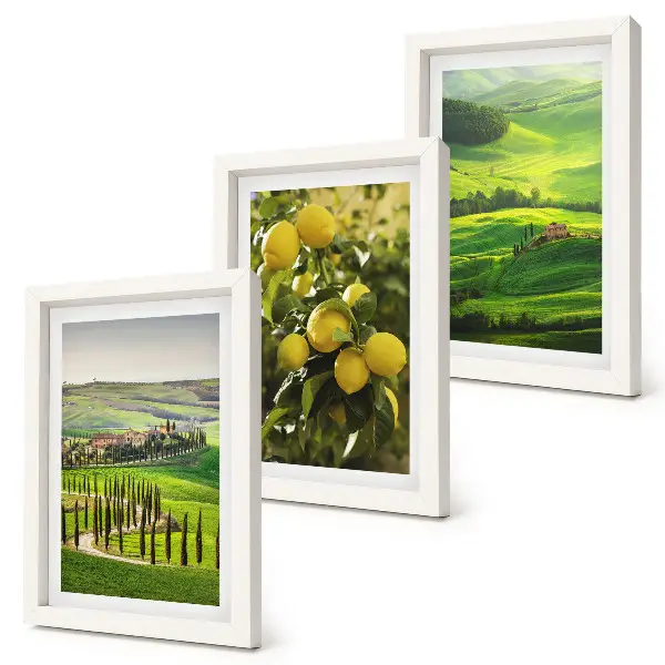 Photo frame wall with Italian landscapes featuring citrus trees and green hills