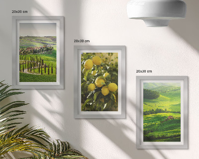 Photo frame wall Italian landscapes with citrus trees and green hills