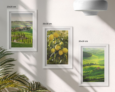 Photo frame wall Italian landscapes with citrus trees and green hills