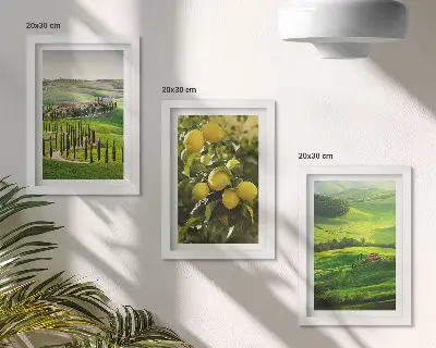 Photo frame wall with Italian landscapes featuring citrus trees and green hills