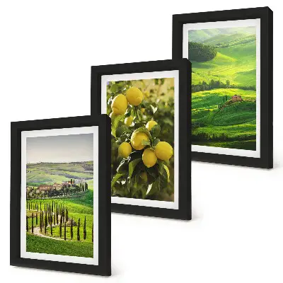 Photo frame wall with Italian landscapes featuring citrus trees and green hills
