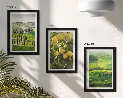 Photo frame wall with Italian landscapes featuring citrus trees and green hills