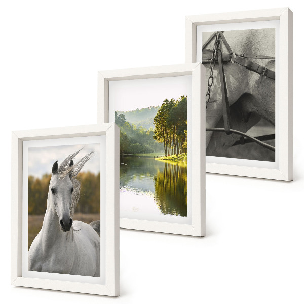 3-piece wall art set White horses by the river nature landscape