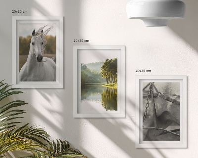 3-piece wall art set White horses by the river nature landscape