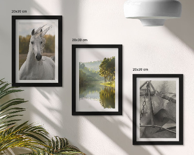 3-piece wall art set White horses by the river nature landscape