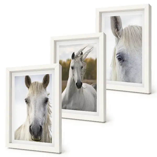 3-piece wall art set White horses in various poses against a natural background