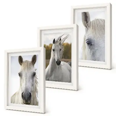 3-piece wall art set White horses in various poses against a natural background