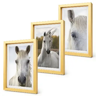 3-piece wall art set White horses in various poses against a natural background