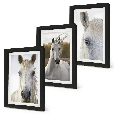 3-piece wall art set White horses in various poses against a natural background