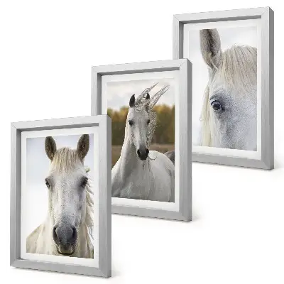3-piece wall art set White horses in various poses against a natural background