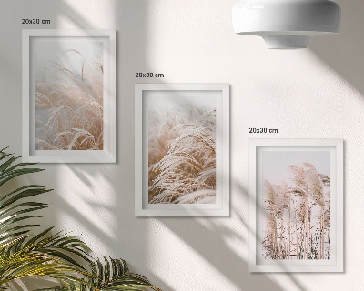 3-piece wall art set Fields of grass in delicate shades of brown and beige