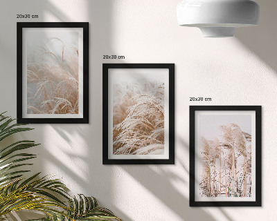 3-piece wall art set Fields of grass in delicate shades of brown and beige