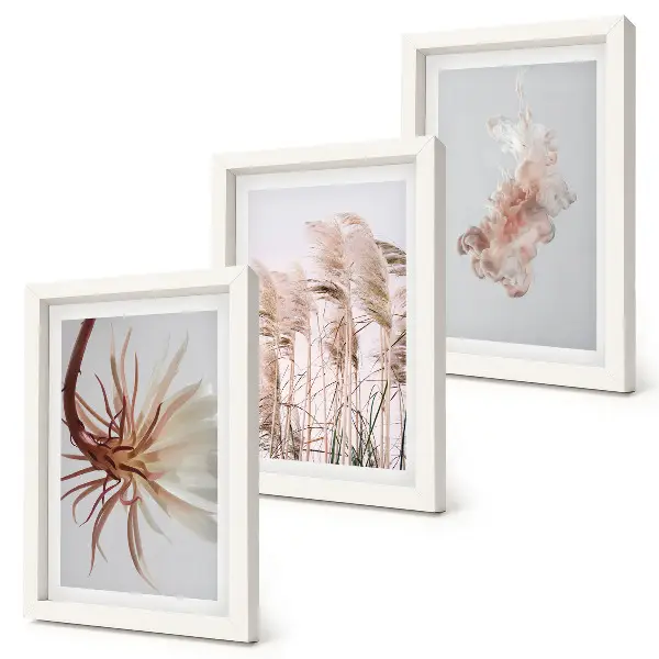 Photo frame wall featuring flowers and grasses on a light background in a harmonious set