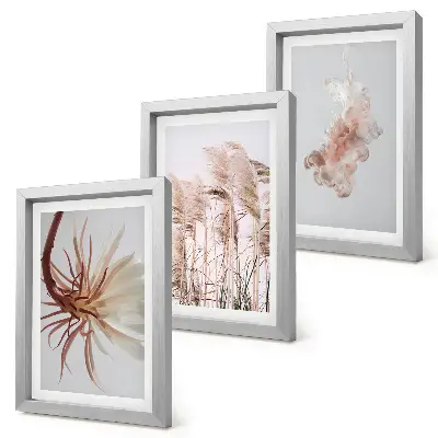 Photo frame wall featuring flowers and grasses on a light background in a harmonious set