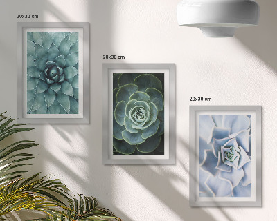 3-piece wall art set Succulent plants in shades of green and turquoise