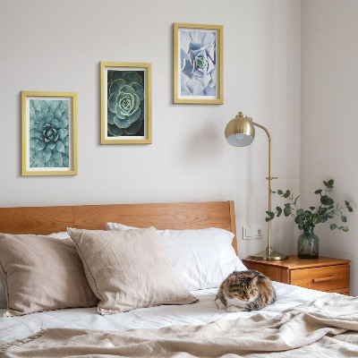 3-piece wall art set Succulent plants in shades of green and turquoise